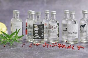 Zážitek Degustační box ginů z celého světa: 10 vzorků